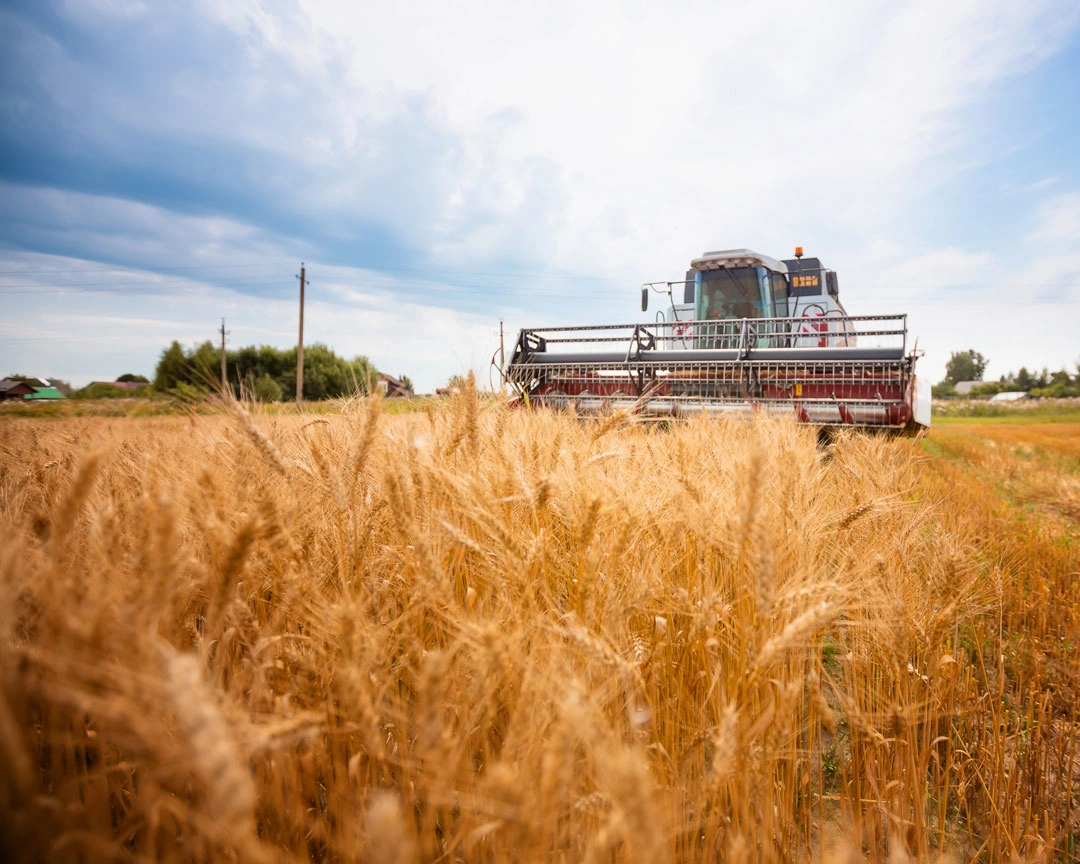 agroexportador